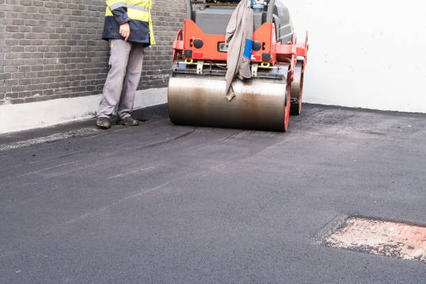 Best Driveway Snow Removal Preparation  in Wilton Manors, FL